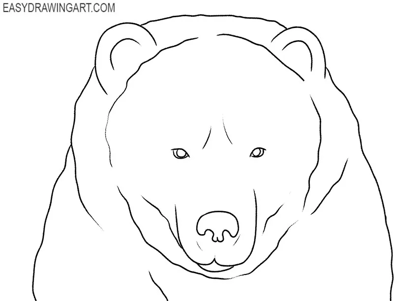 how to draw a realistic bear face step by step