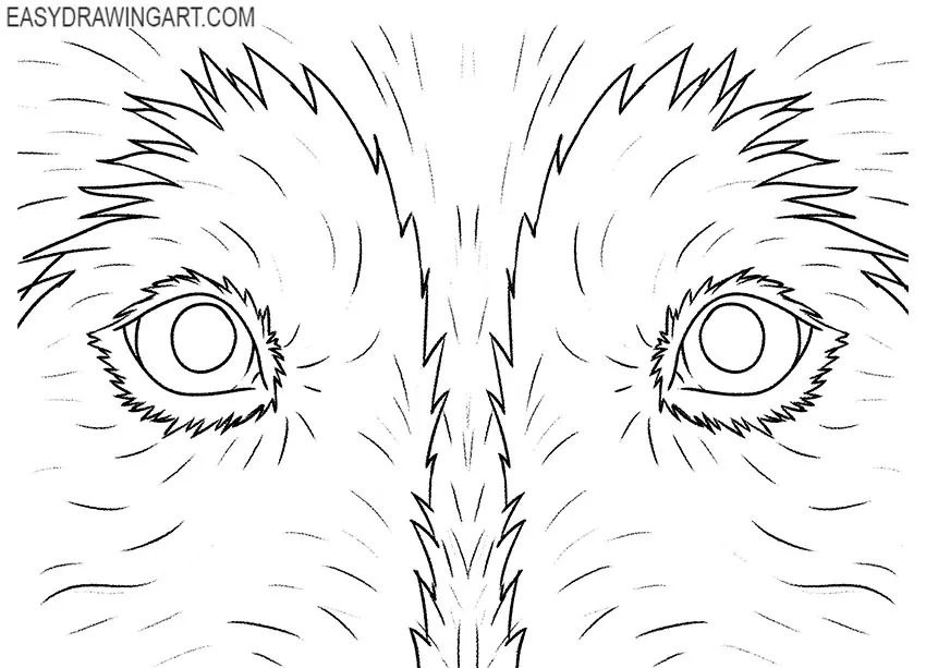 how to draw eyes on a dog
