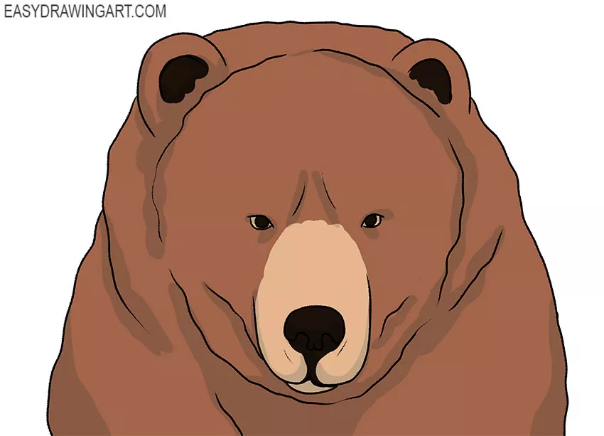  how to draw a bear cartoon face