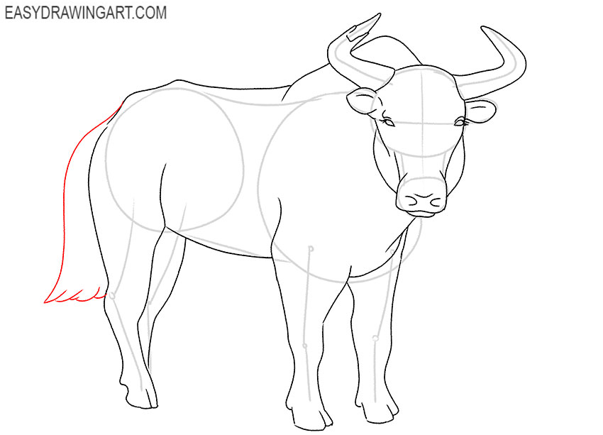 how to draw a realistic yak