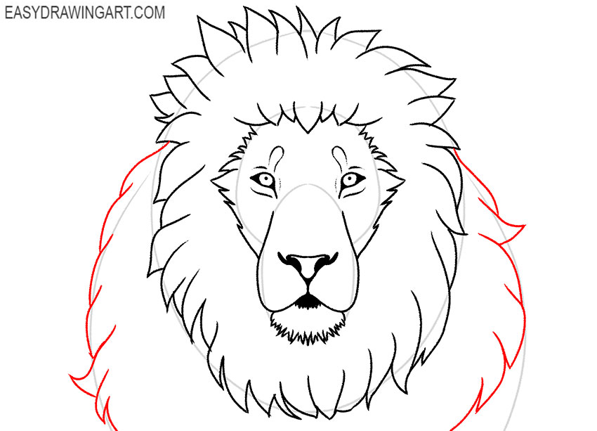 lion face drawing lesson