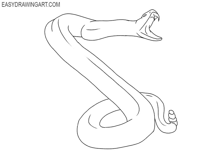 rattlesnake drawing lesson
