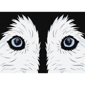 How to Draw Dog Eyes