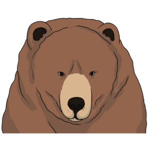 How to Draw a Bear Face