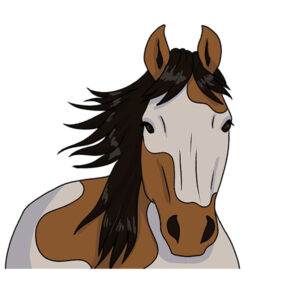 How to Draw a Horse Face