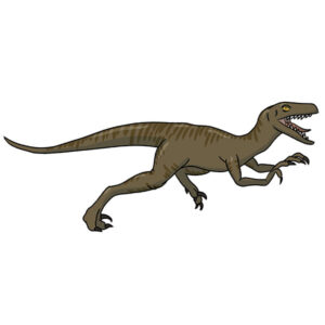 How to Draw a Velociraptor