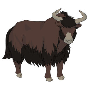 How to Draw a Yak