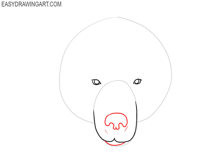 how to draw a bear face cute