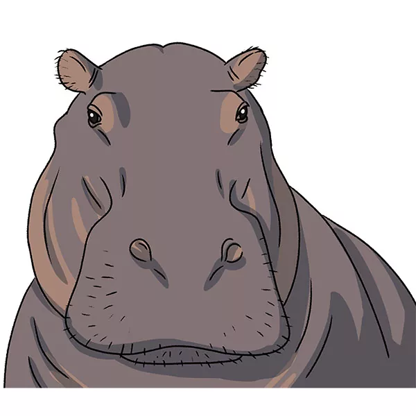 How to Draw a Hippo Face - Easy Drawing Art
