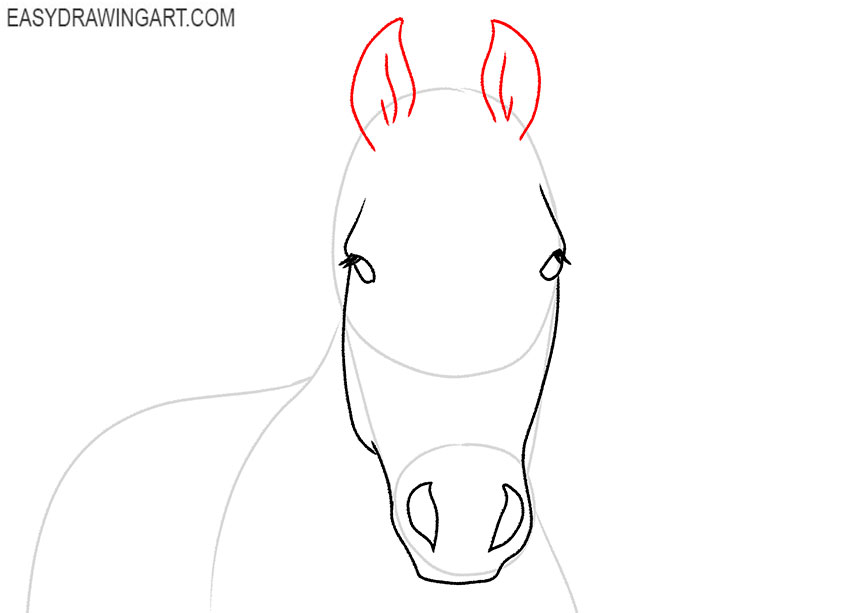 how to draw a horse face for beginners