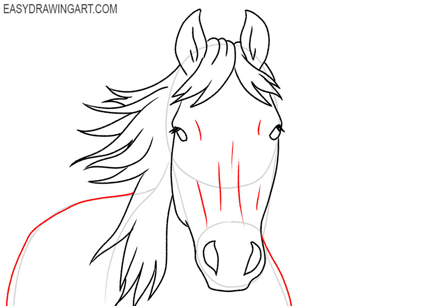how to draw a cute horse face