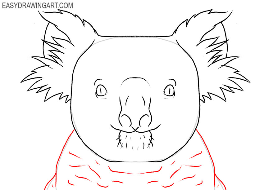 koala face drawing lesson