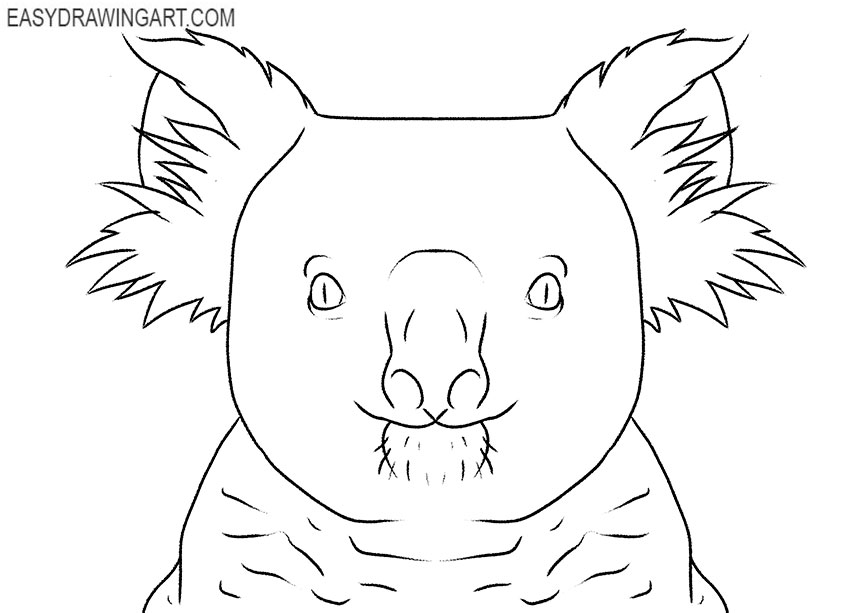 koala face drawing tutorial