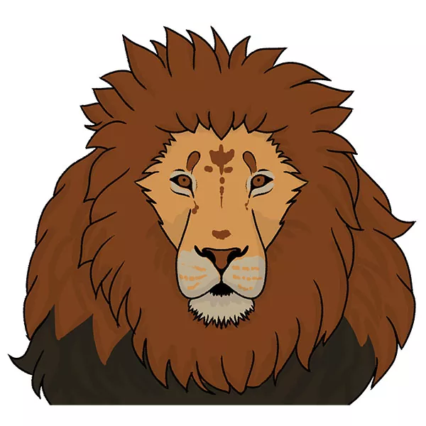 How to Draw a Lion Face