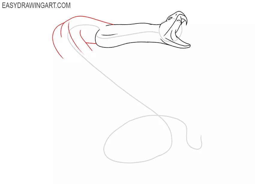 how to draw a rattlesnake easy