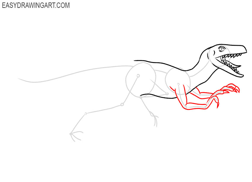 Velociraptor drawing lesson
