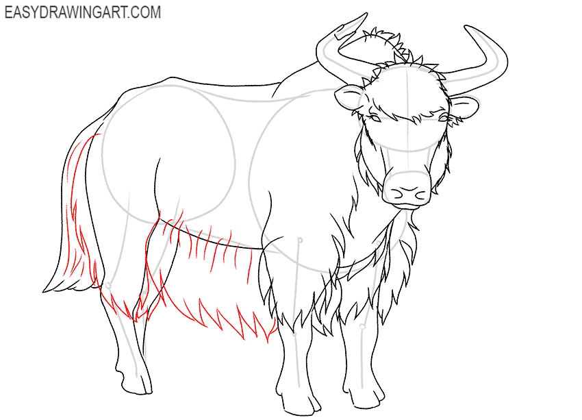Yak drawing tutorial