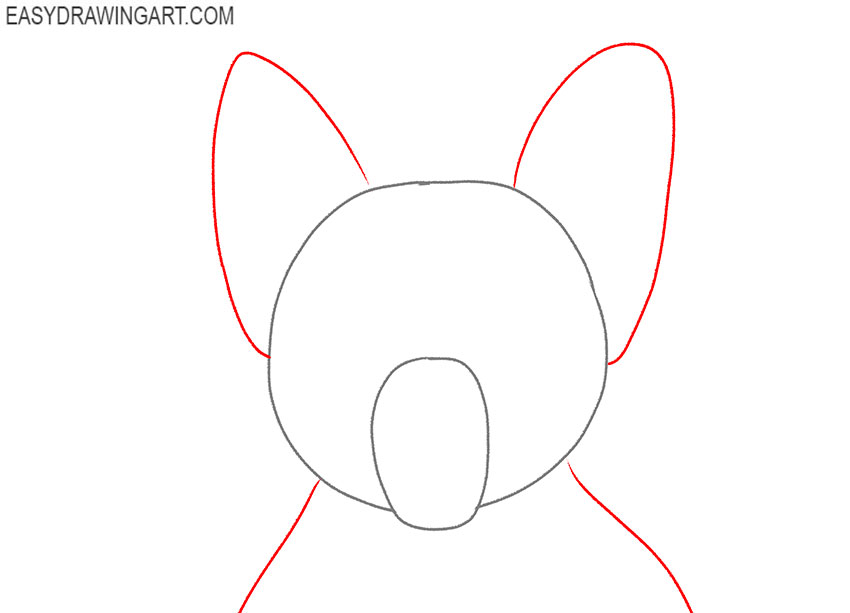 how to draw a realistic yorkie face