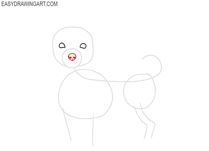 how to draw a yorkie face easy