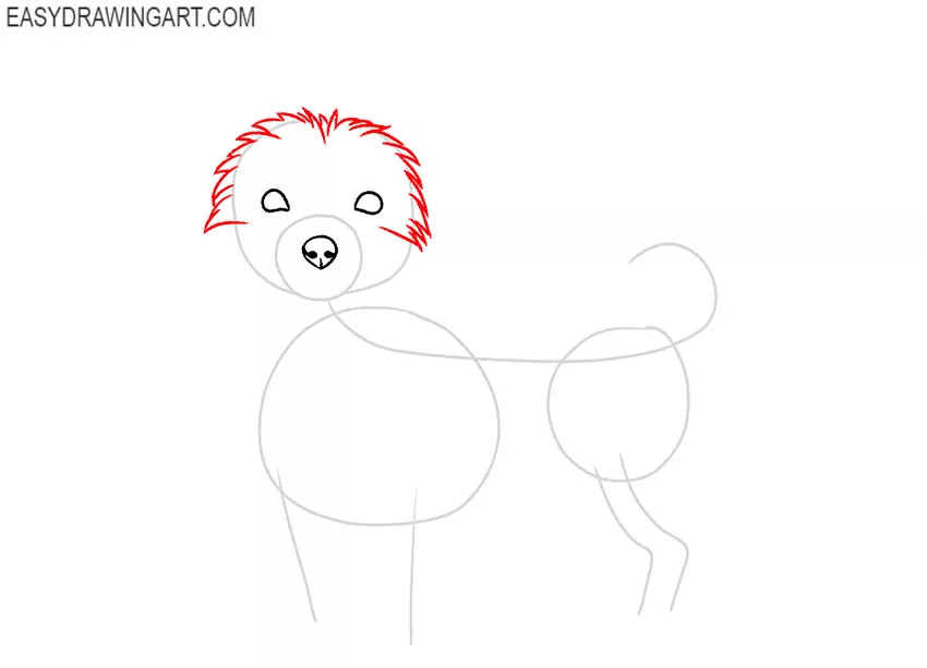 art hub how to draw a yorkie