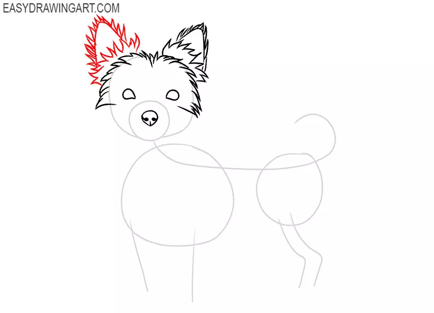 how to draw a cute yorkie