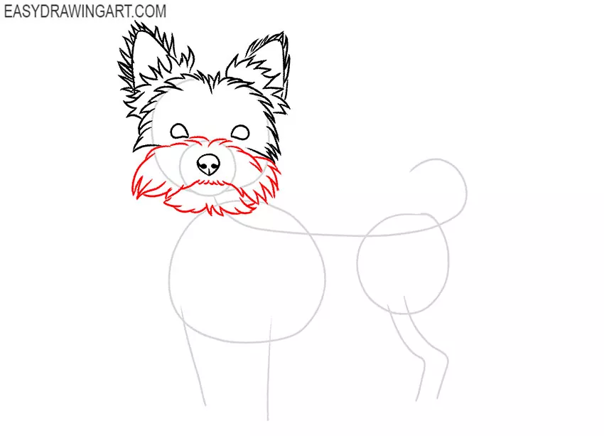 how to draw a cartoon yorkie