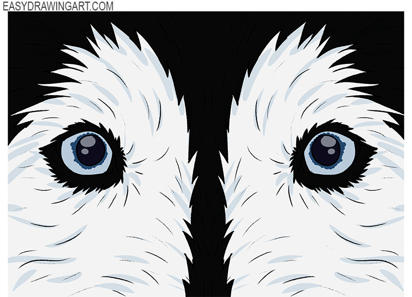 how to draw realistic dog eyes