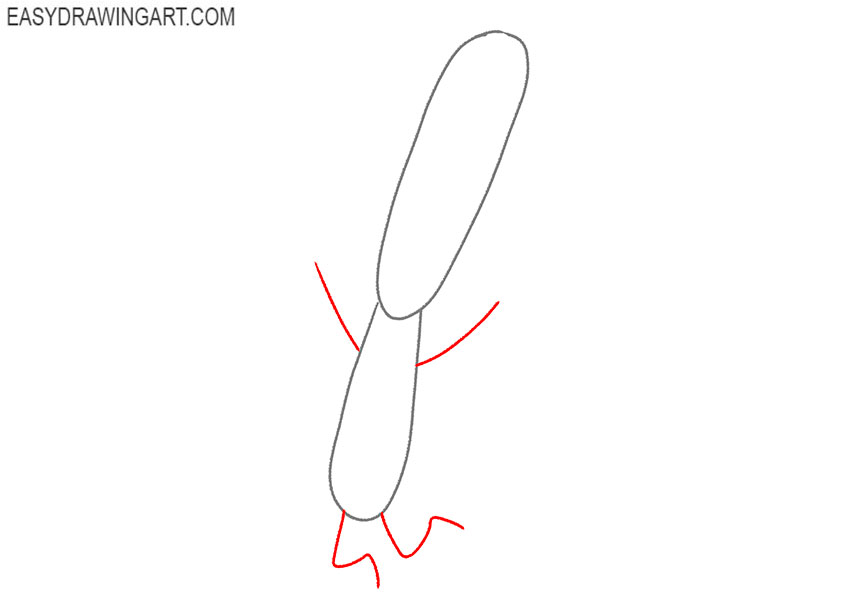 how to draw ferb from phineas and ferb