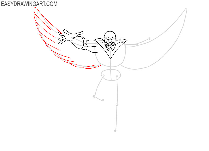 falcon drawing