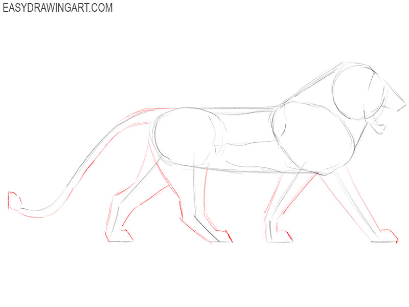 Add volume to the limbs