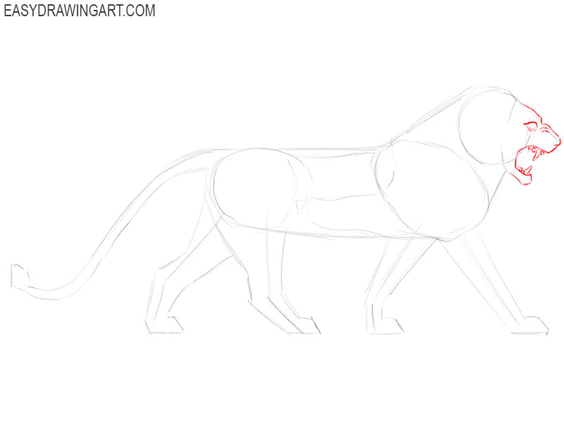 Draw the face of the Mesopotamian lion