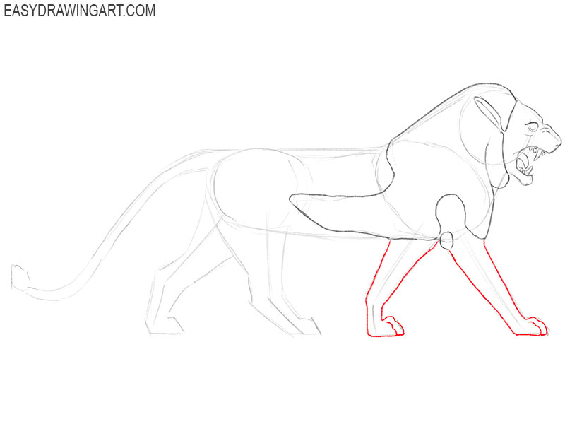 Detail the front limbs