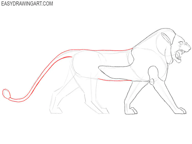 Detail the tail and torso