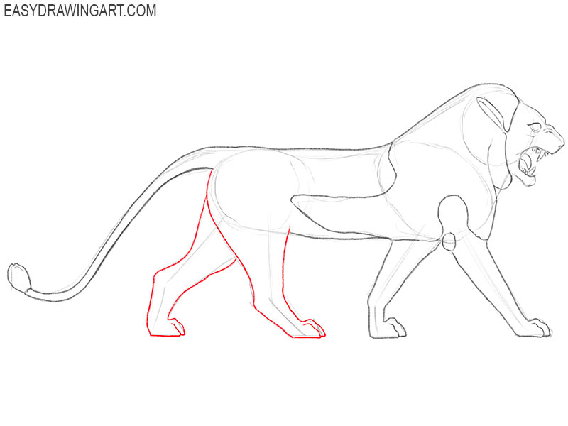 Draw the hind legs of the Mesopotamian lion