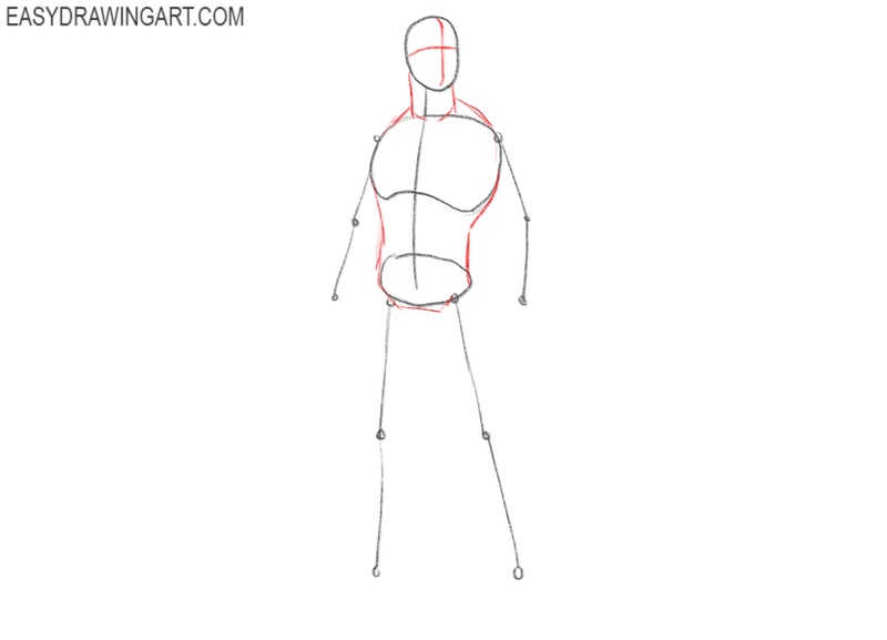 Add guidelines for the head and torso