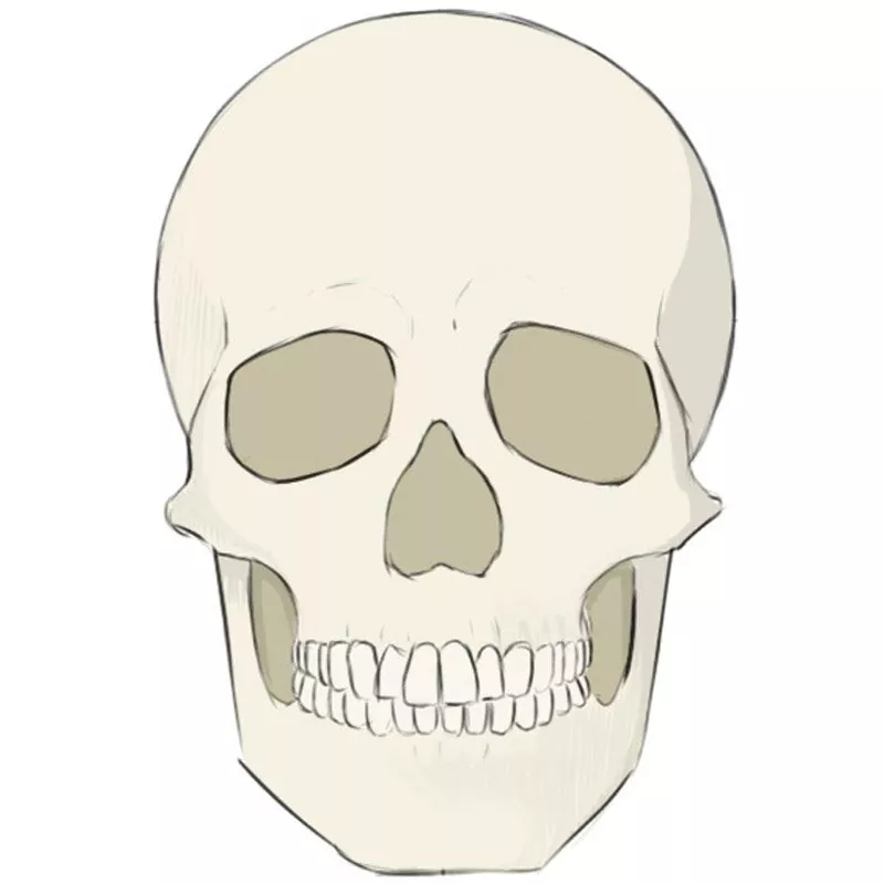 How to draw a skull.