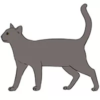 Animals drawing tutorials.