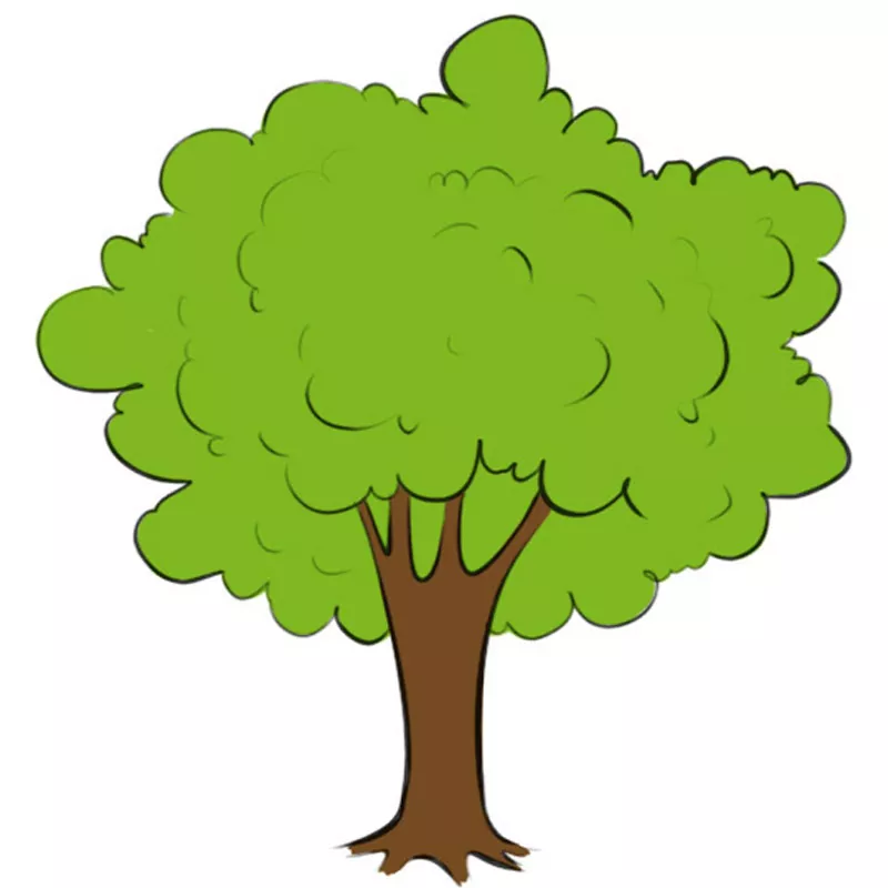 How to draw a tree.