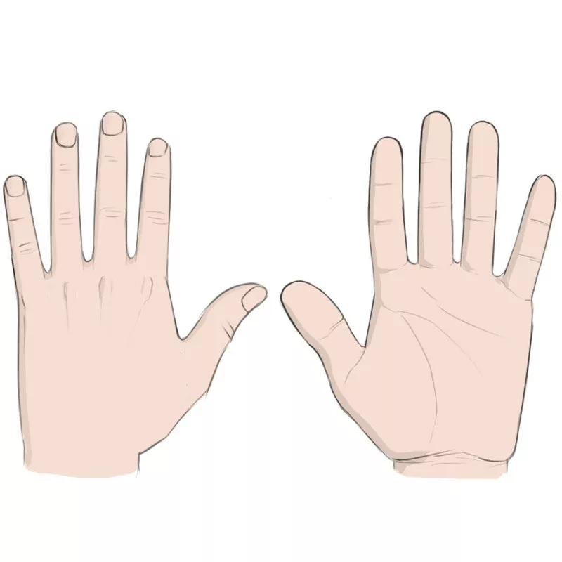 How to draw hands.