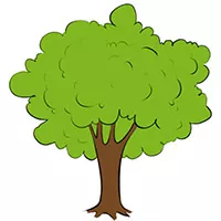 Nature drawing tutorials.